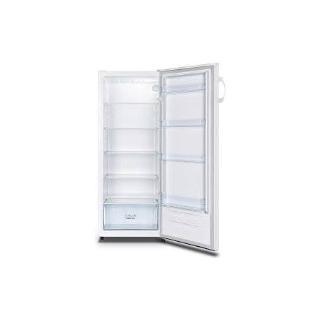 Hladilnik Gorenje R4142PW - Energetska učinkovitost in prostornost